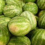 watermelons watermelons
