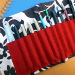 pouch8