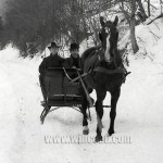 sleigh-ride-detail