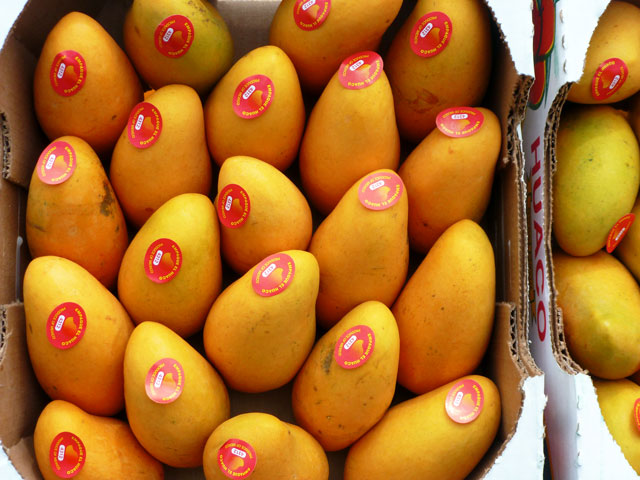 Mangoes