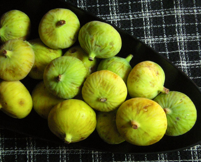 Figs