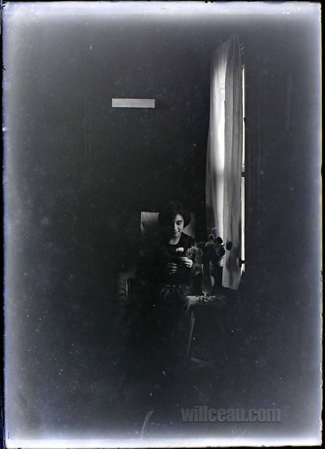 flowers-by-the-window