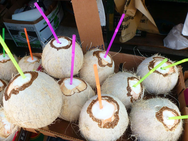 Coconuts