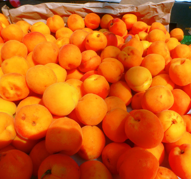 Apricots