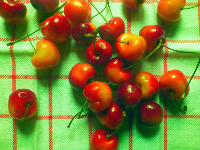 RainierCherries