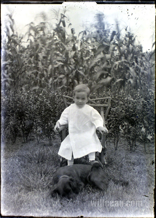 Let-Sleeping-Dogs-Lie