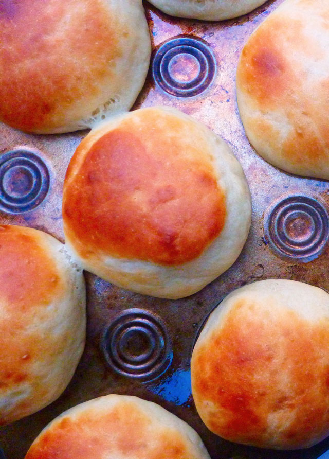 YeastRolls