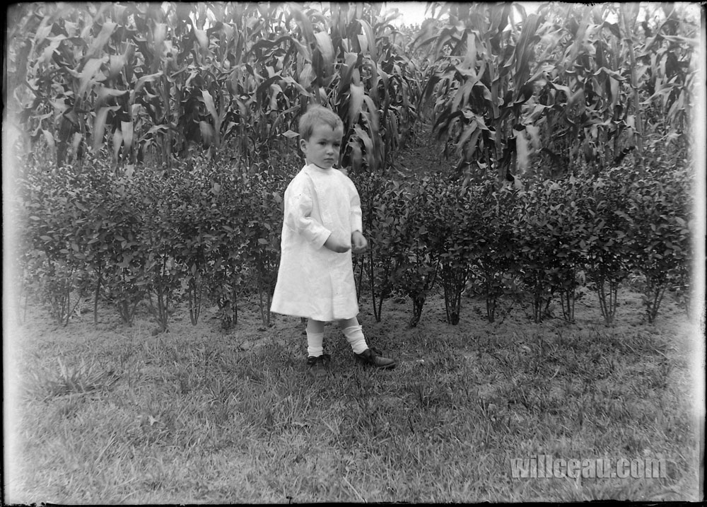 child-of-the-corn