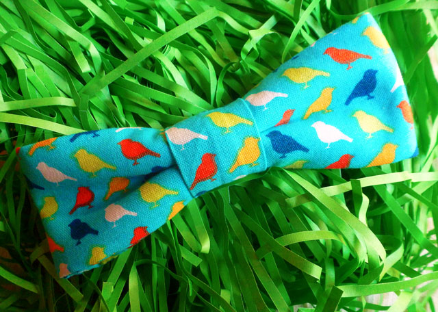 BirdBowTie