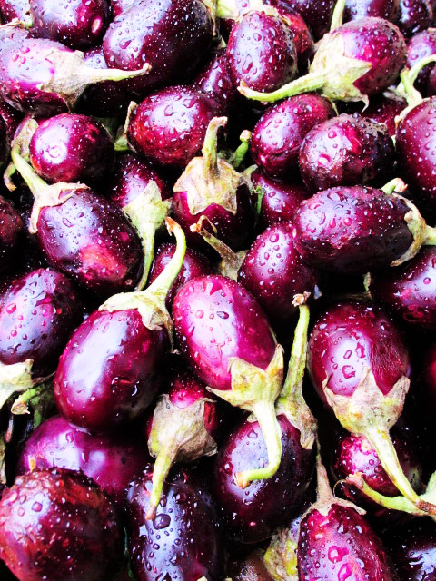 Eggplant