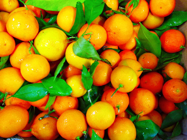 Mandarins